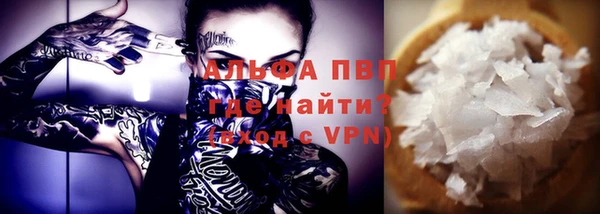 стаф Вязьма
