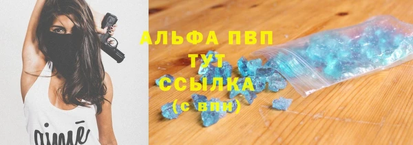 винт Вяземский