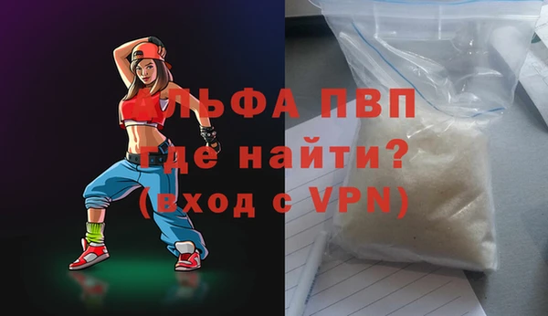стаф Вязьма