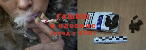 стаф Вязьма