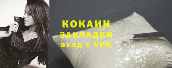 стаф Вязьма
