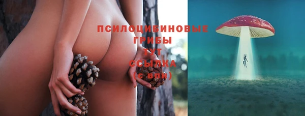 винт Вяземский