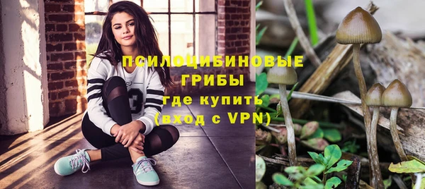 молекула духа Вязники