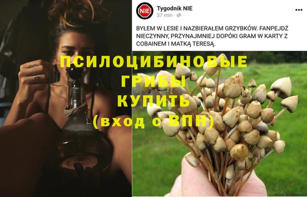 молекула духа Вязники
