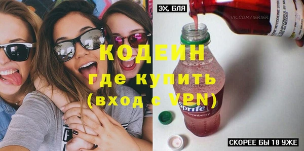 стаф Вязьма
